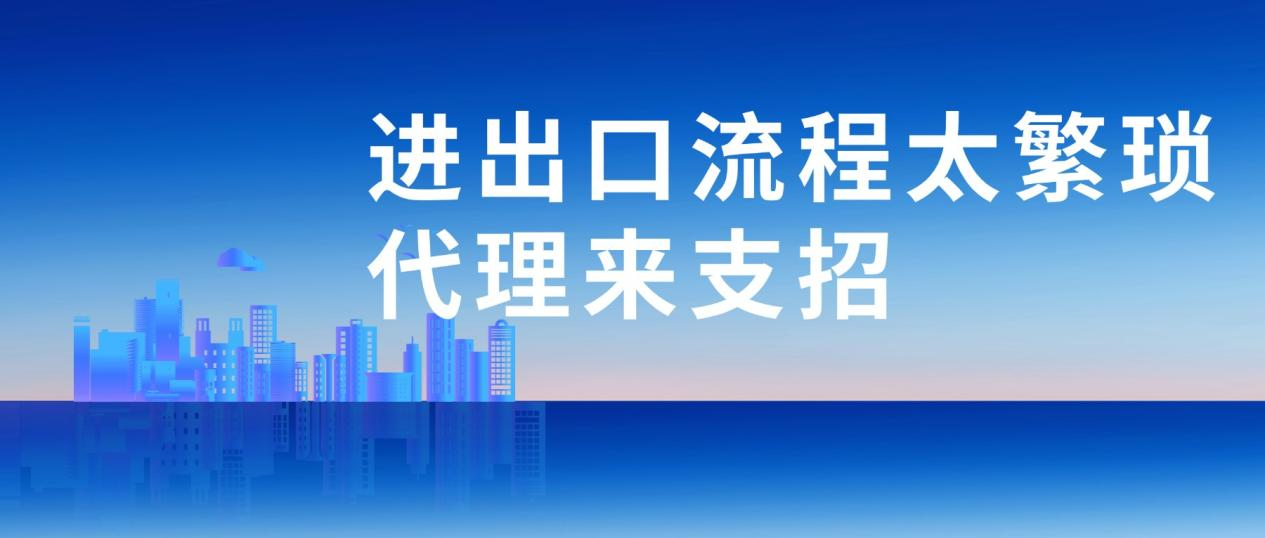 进出口流程太繁琐？代理来支招，高效通关还省心！