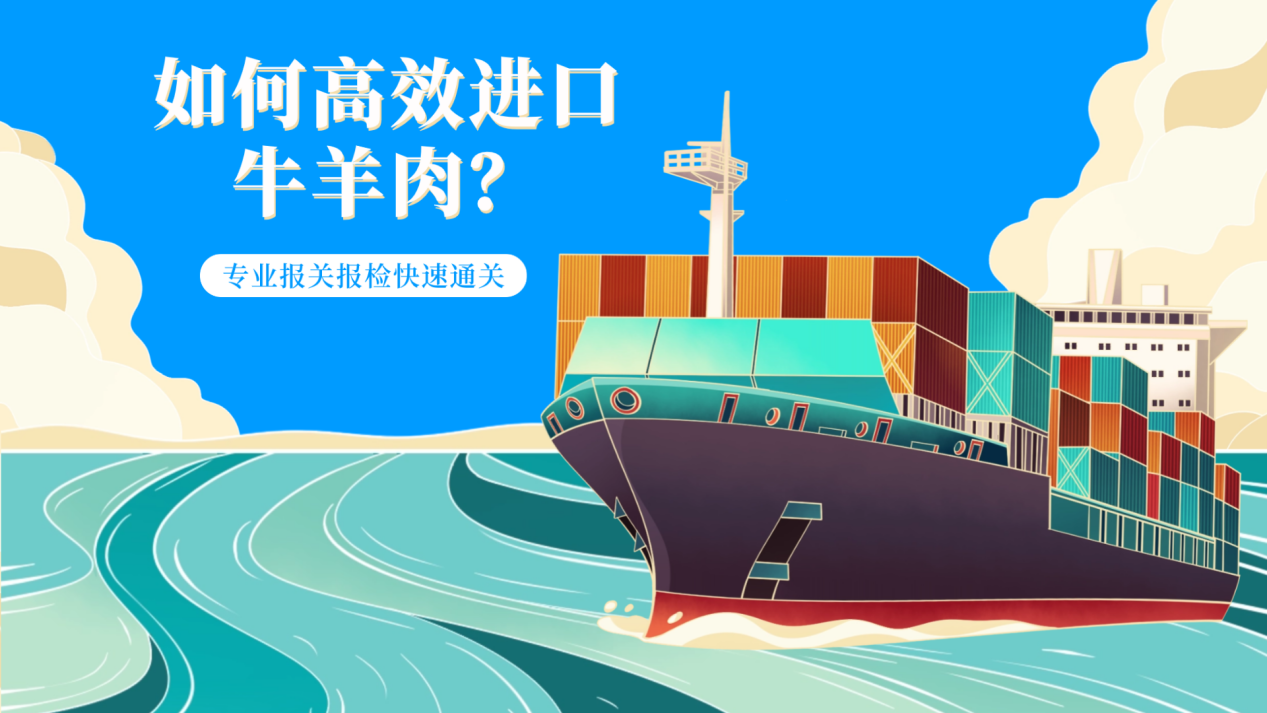 如何高效进口牛羊肉？选择上海博儒，专业报关报检快速通关