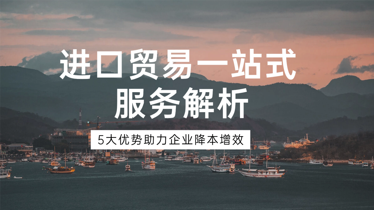 进口贸易一站式服务解析：5大优势助力企业降本增效